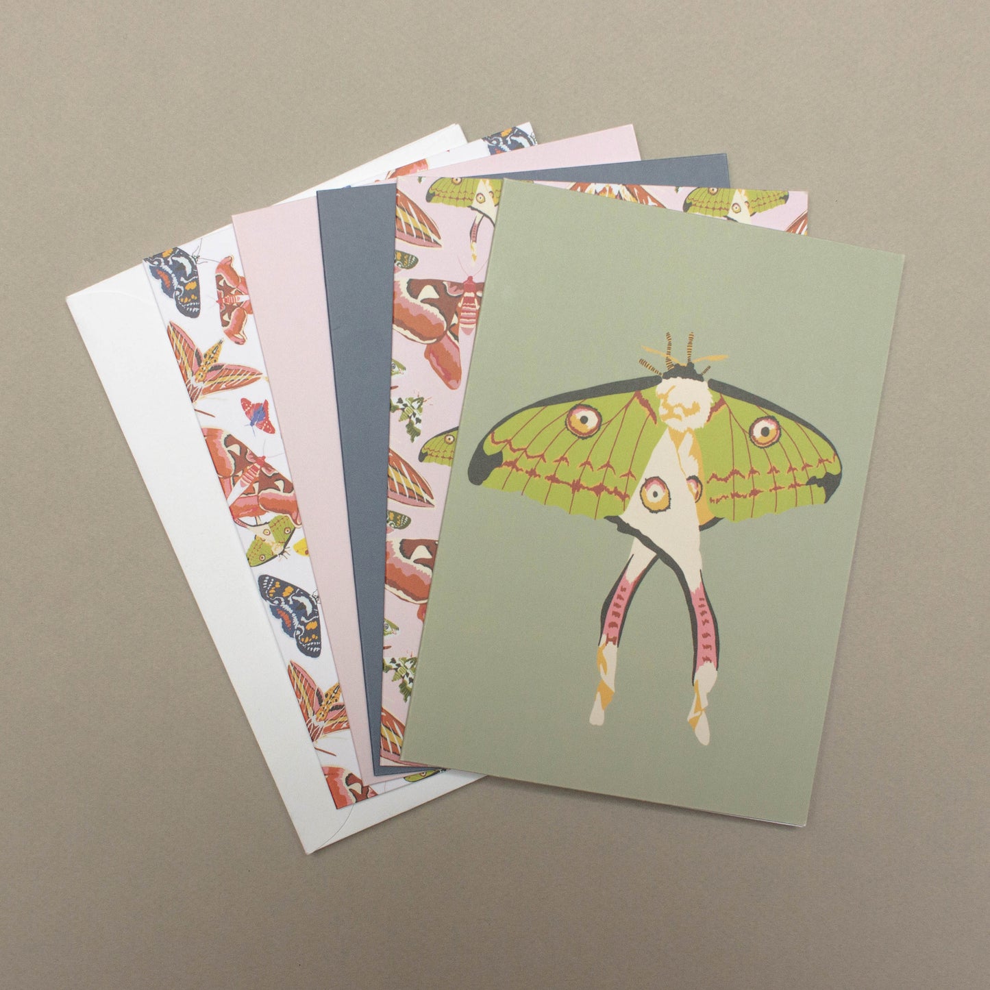 Notecard Set in Moths