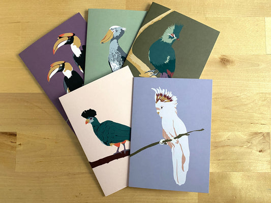Notecard Set in Birds of Various Paradises